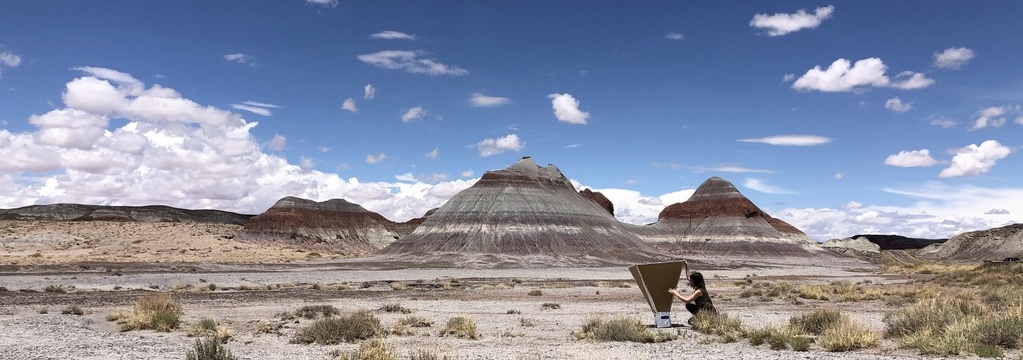 Petrified Forest National Park